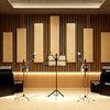 Acoustic Wall Panels